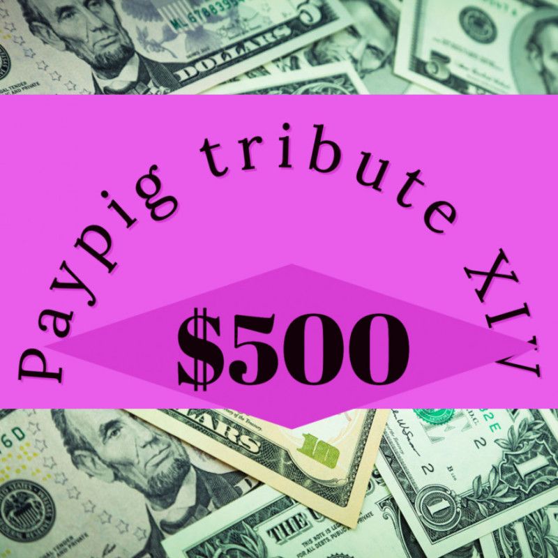 Paypig tribute XIV