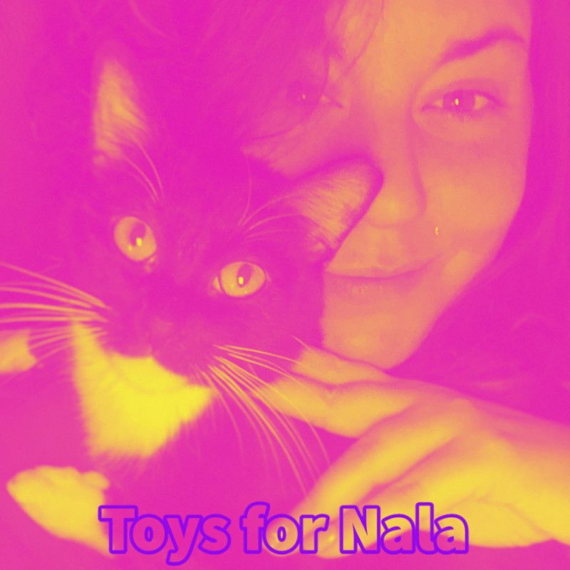 Toys for Nala