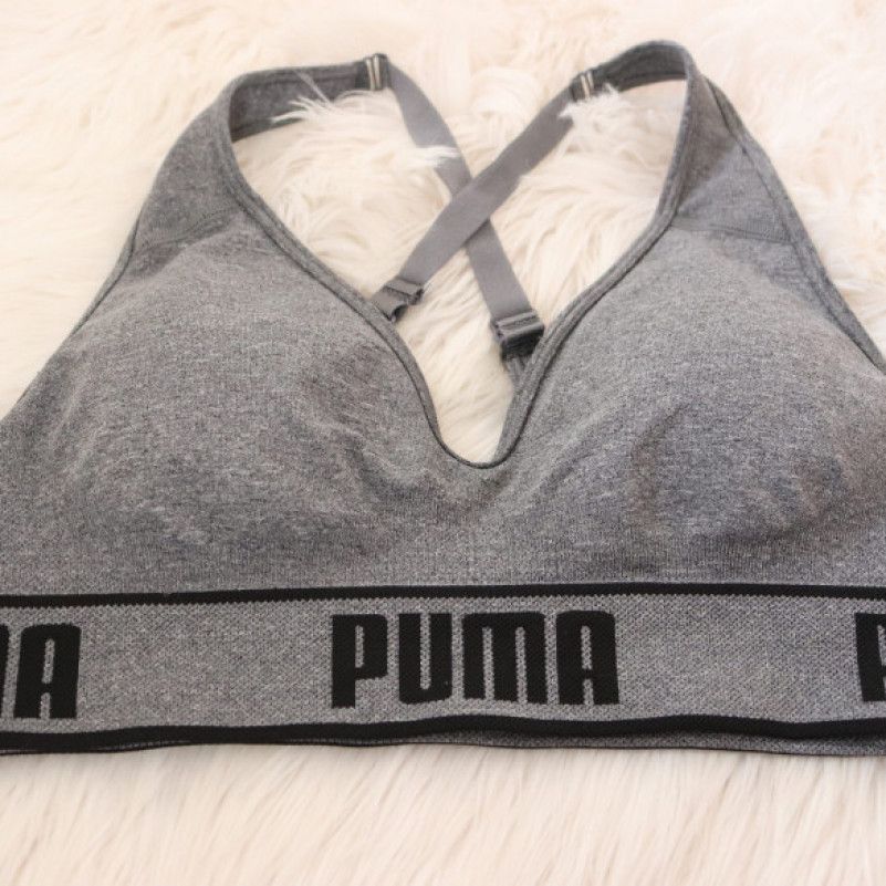 Grey Puma