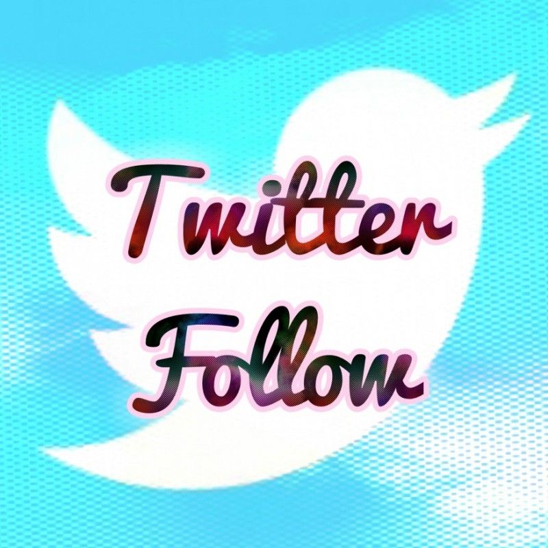 Twitter Follow Back