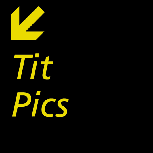 Custom Tit Pics