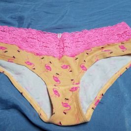 Victoria Secret Pink Flamingos Panties