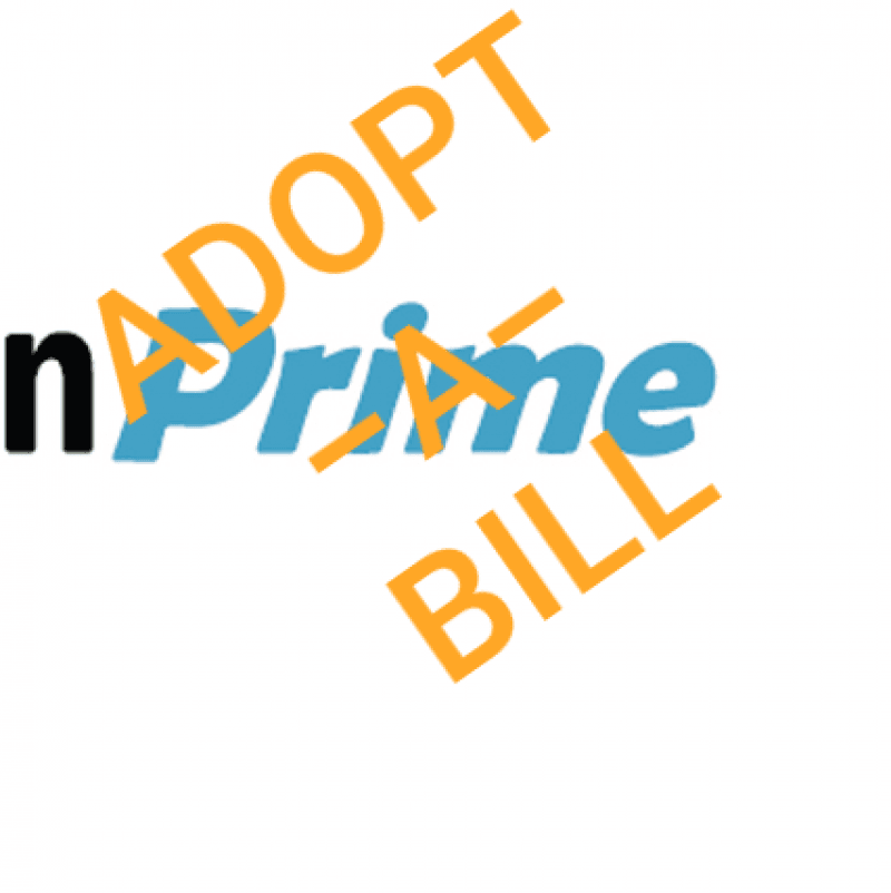 Adopt A Bill Rileys Amazon Prime