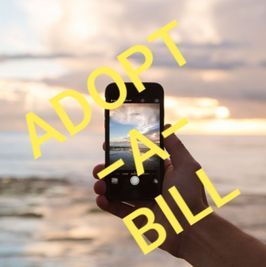 Adopt A Bill Rileys Phone Bill