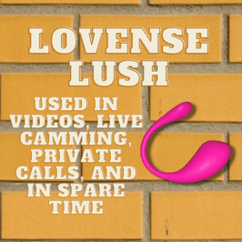 Lovense Lush of Cam Model RixyRose