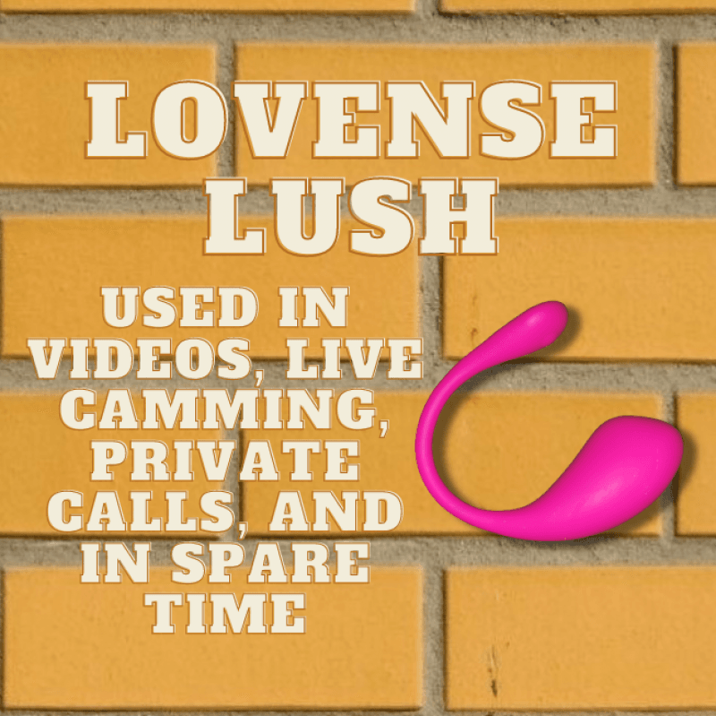 Lovense Lush of Cam Model RixyRose