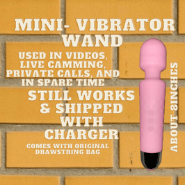 Mini Vibrator Wand