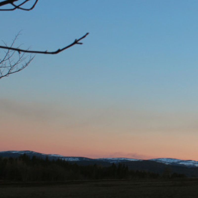 Outdoor Sunset Forest Photoset