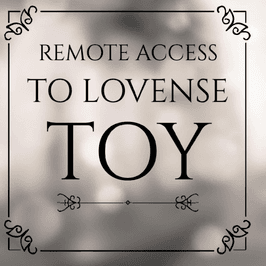 1 hour Remote Access to Lovense Toy