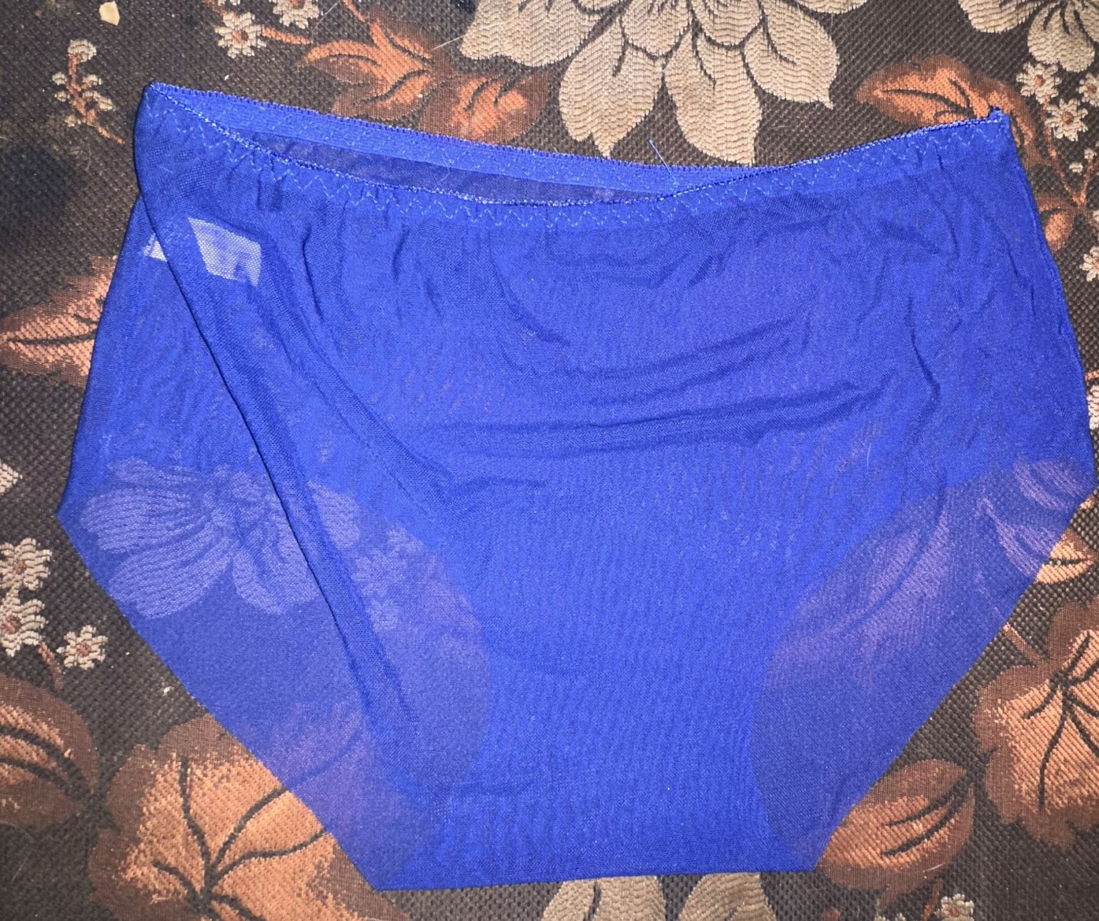 Royal blue nylon sheer full back panty