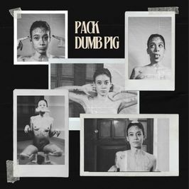 PACK DUMB PIG