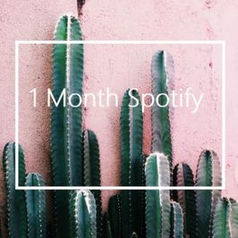 1 Months Spotify