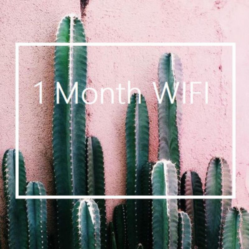 1 Month WIFI