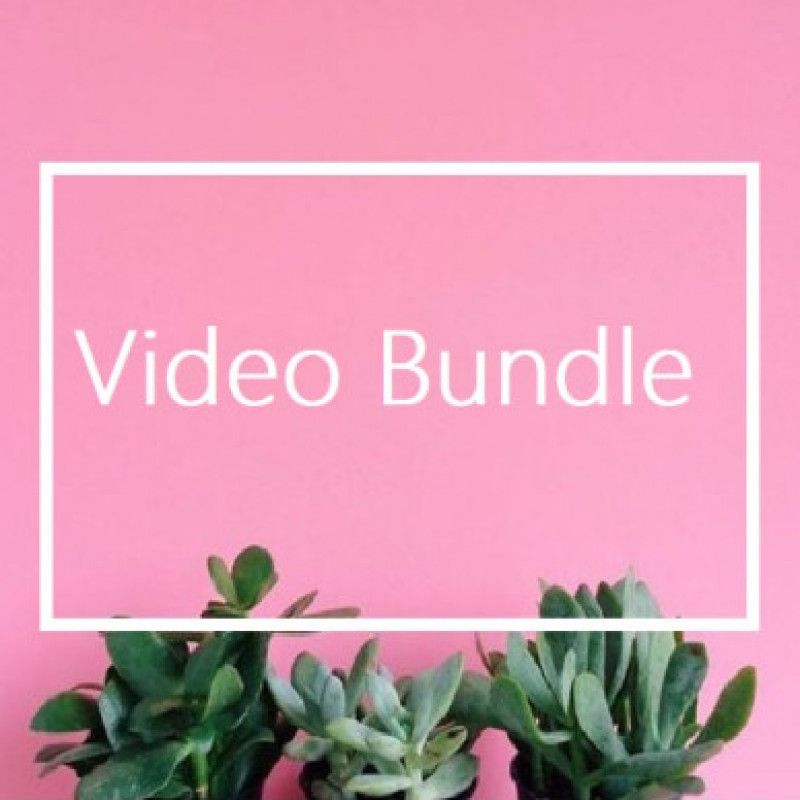 Vid Bundle: My first vids