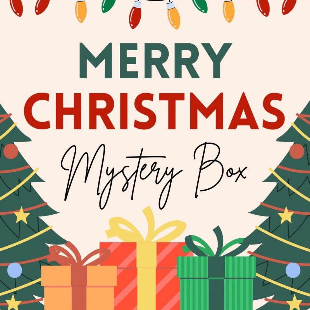 Mystery Christmas Package