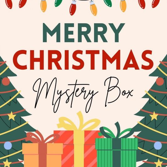 Mystery Christmas Package