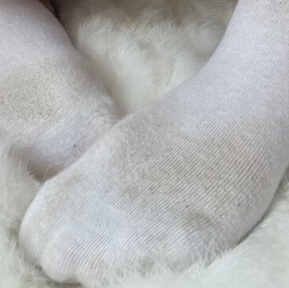 Worn Socks