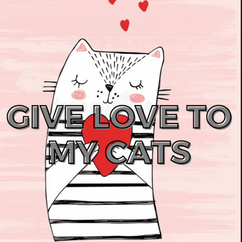 Give love to my cats