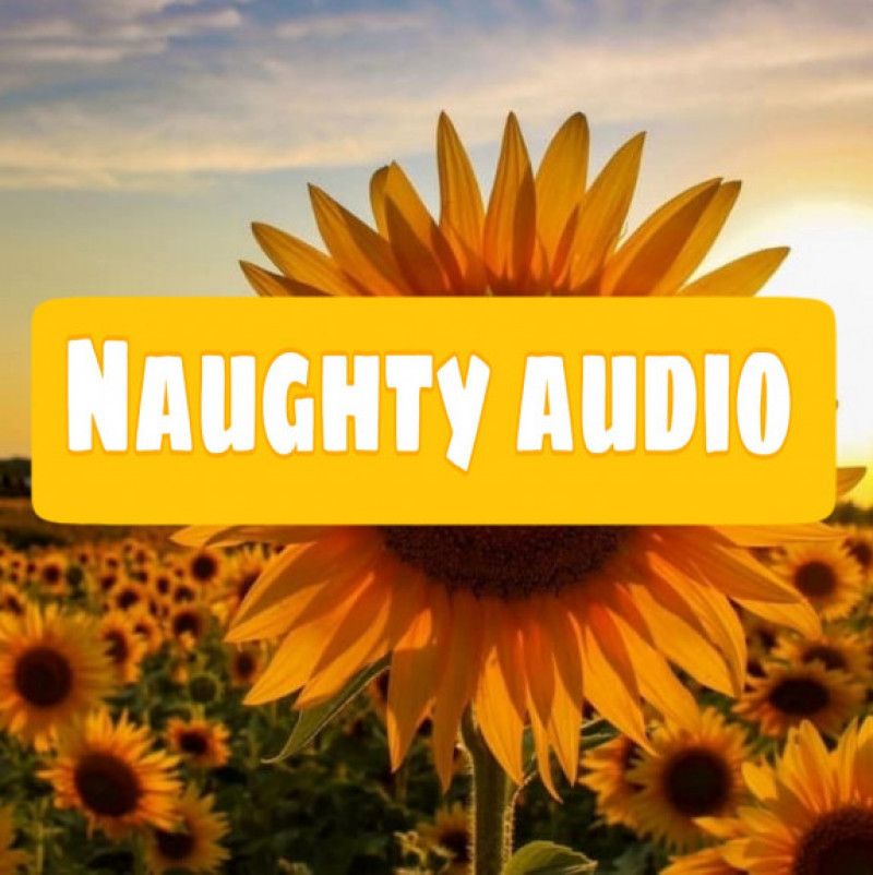 Naughty Audio