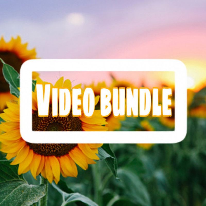 Video Bundle