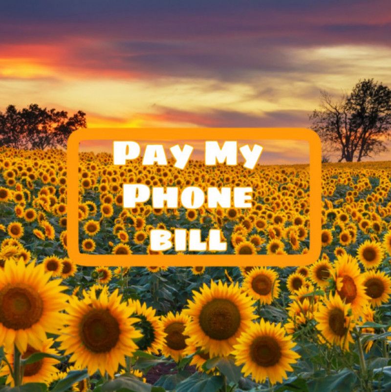 Phone Bill