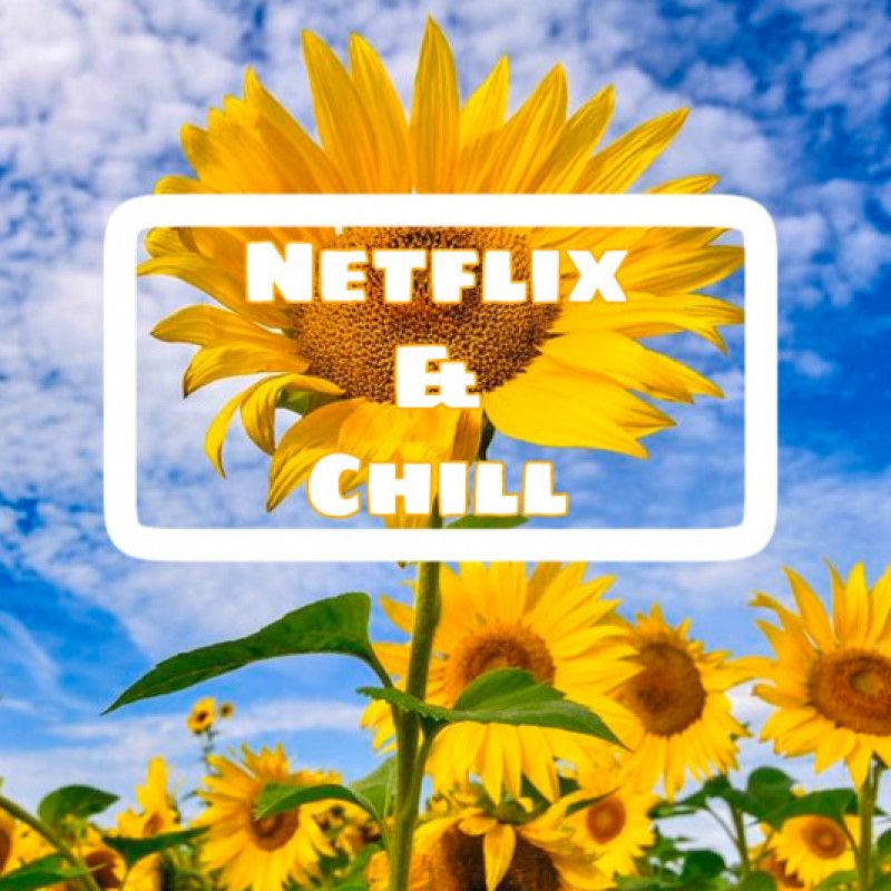 Netflix n Chill