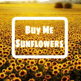 Buy Me Sunflowers