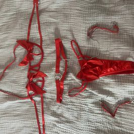 Red sexy lingerie set with garter belt