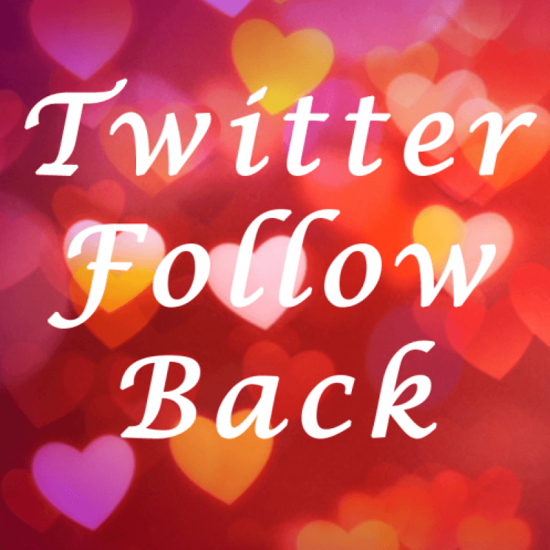 Twitter Follow Back