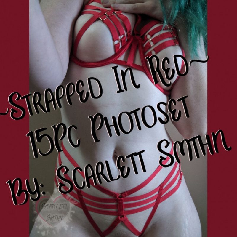 Strapped In Red 15pc Photo-set