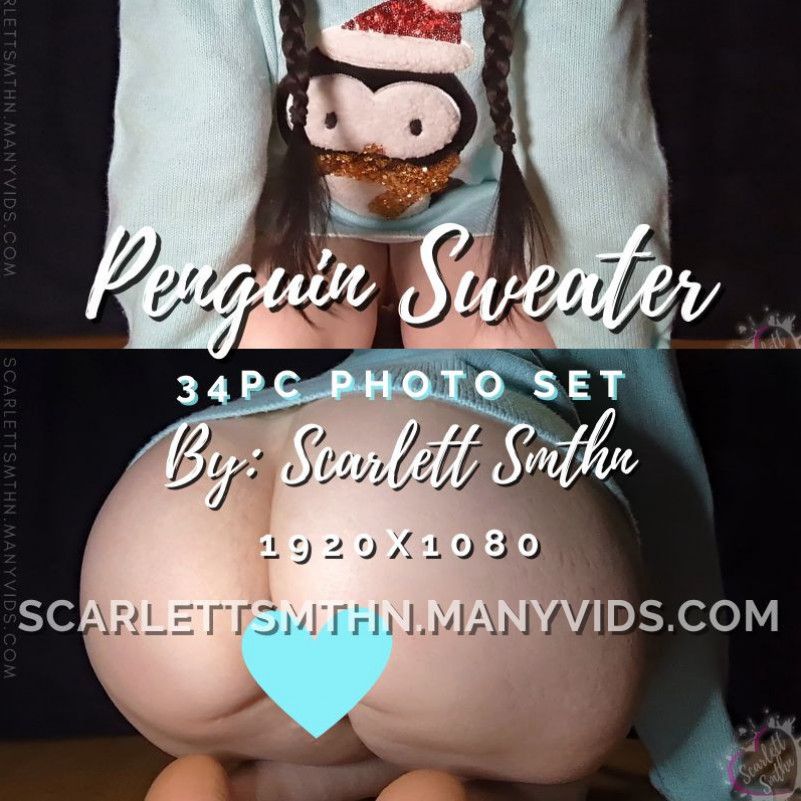 Penguin Sweater 34pc Photo set