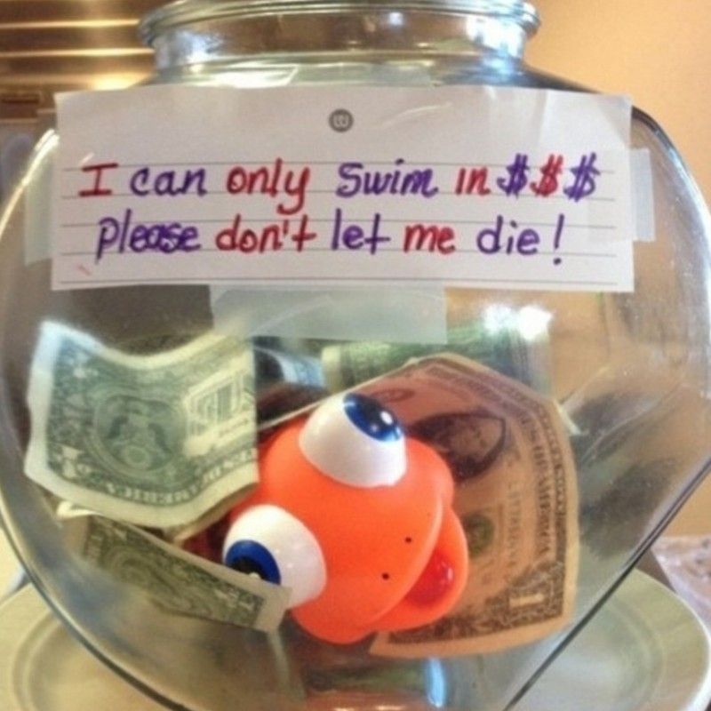 tip jar