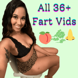 Buy All Current Fart Vids: 70 or more!