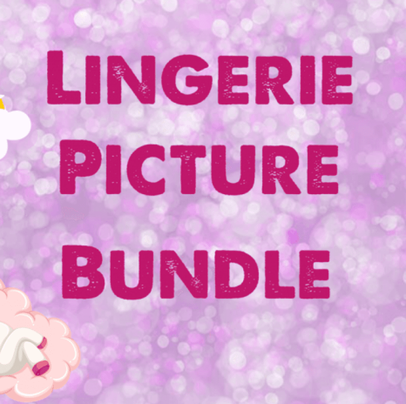 Lingerie picture bundle