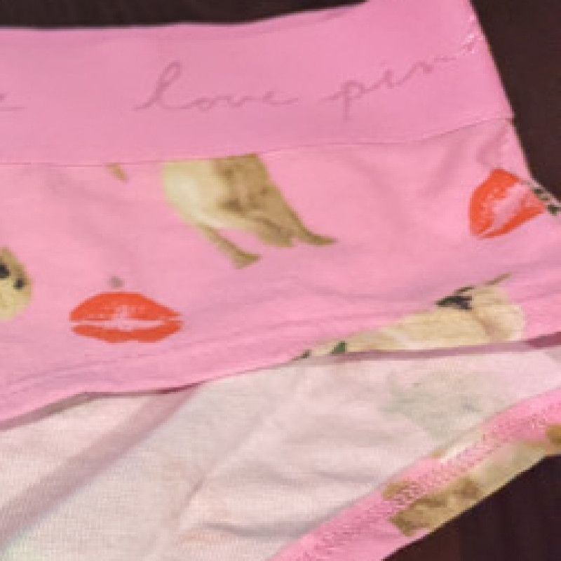 VS Pink Panty with Puppies