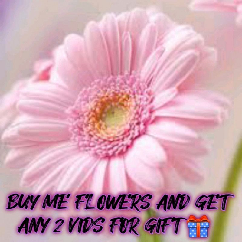 Buy ME FLOWERS And Get Any 2 Vids