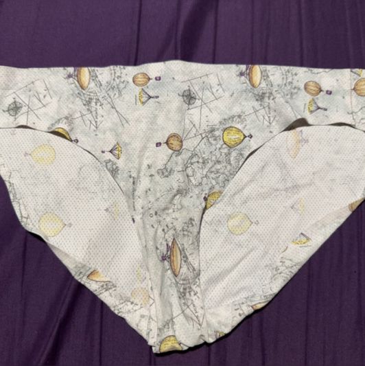 light grey map print full back panties 2 day wear