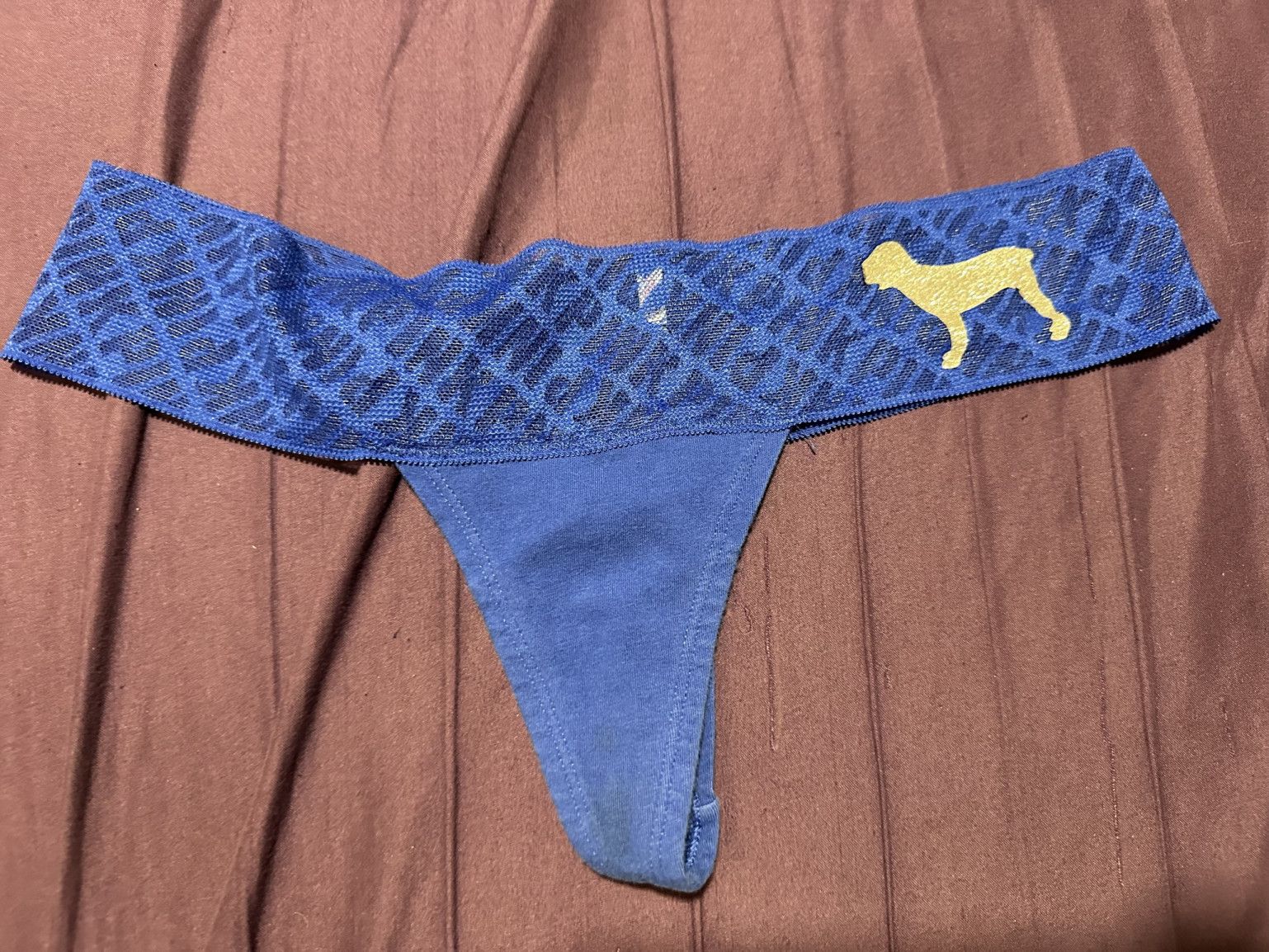 pink brand royal blue thong