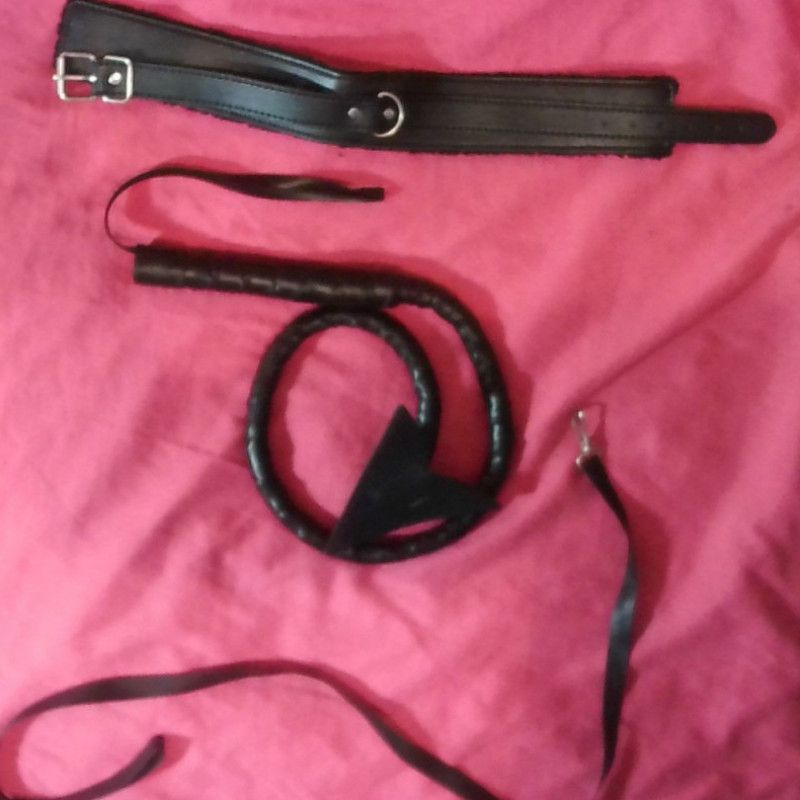 Black Wipe Black Collar Black Leash