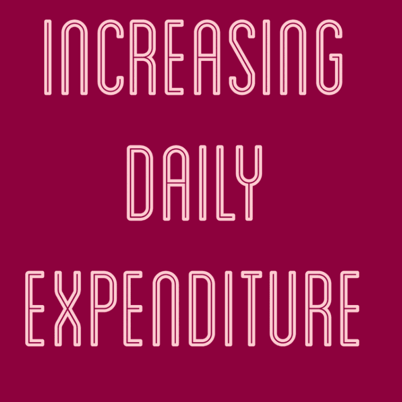 Increasing Daily Expenditure