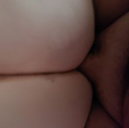 BBW Variety