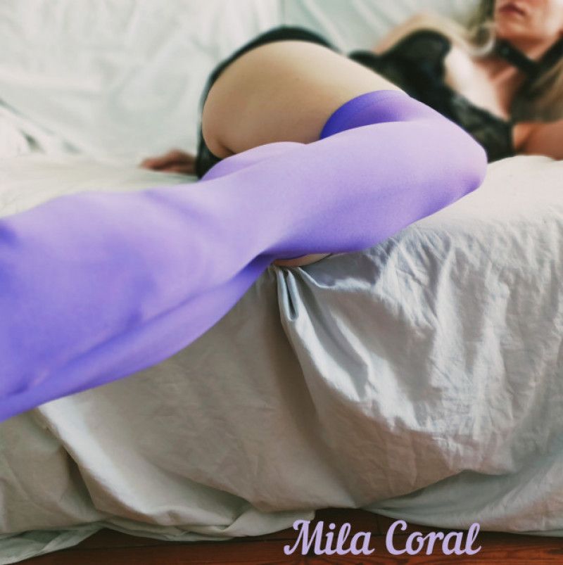 Stockings violet purple