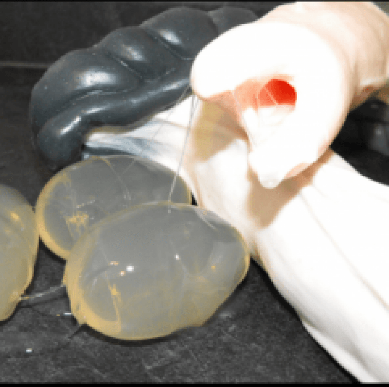 Ovipositor Dildo