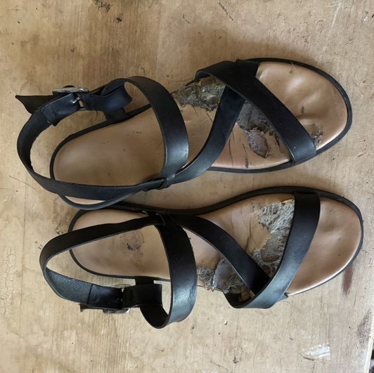 Leather Sandals