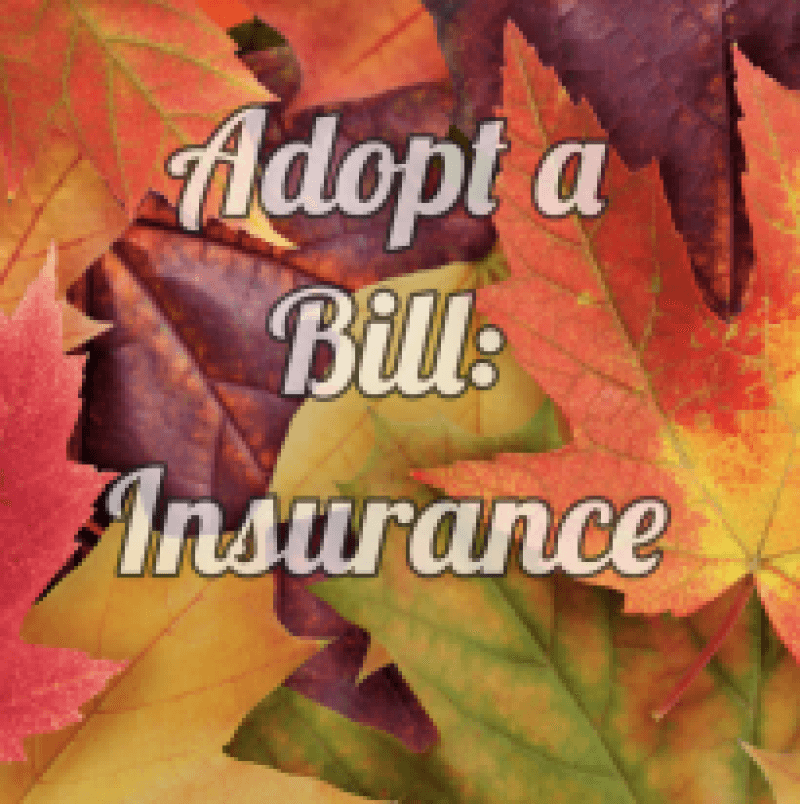 ADOPT A BILL