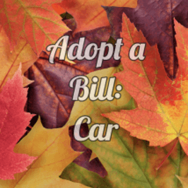 ADOPT A BILL