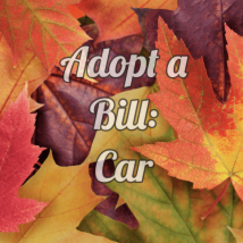 ADOPT A BILL