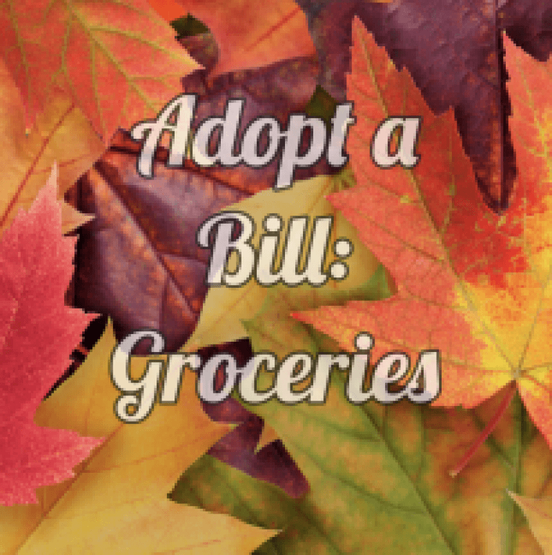 ADOPT A BILL