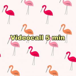 Videocall