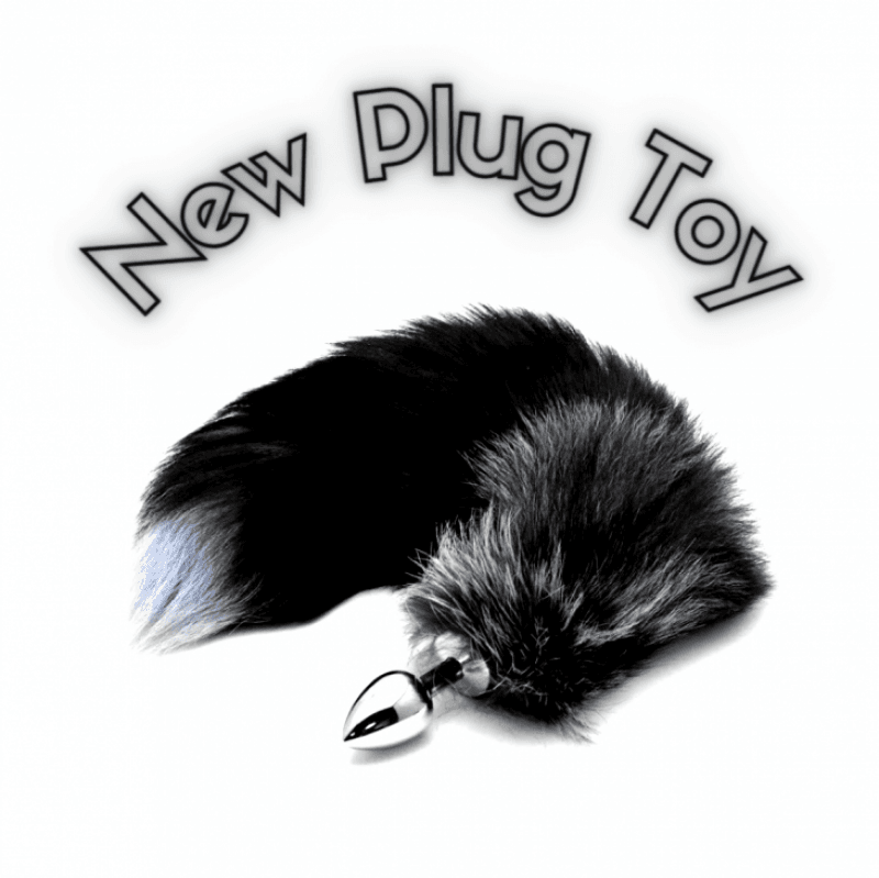 Plug Toy